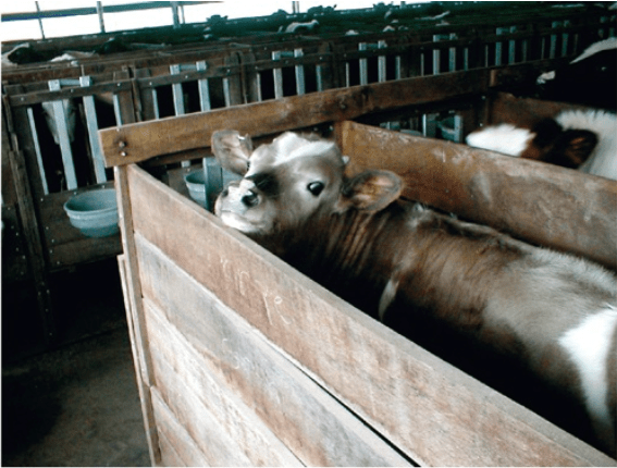 Screen Shot 2019-12-31 at 12.59.37 AM